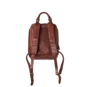 πίσω μεριά δερμάτινης τσάντας πλάτης